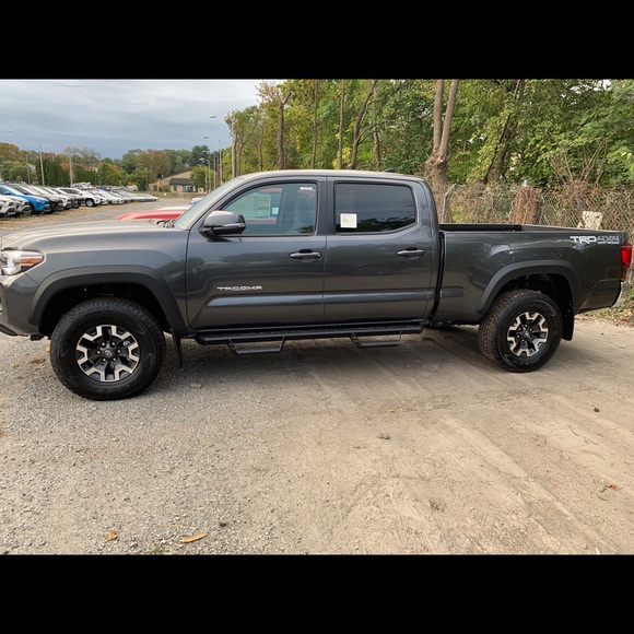 Meet your Posher, Theodore - Picture 4 of 4